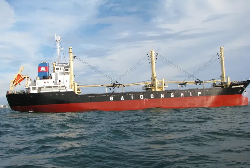 TAN BINH 89 Bulk Carrier IMO 9562960 photo 2