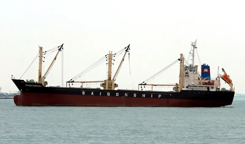 TAN BINH 89 Bulk Carrier IMO 9562960 photo 3