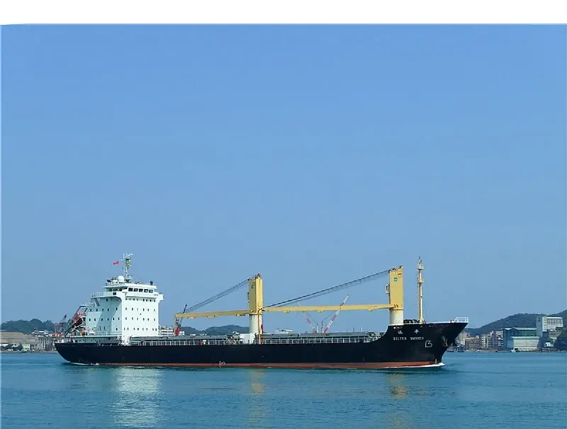 SILVER SMOOTH General Cargo IMO 9563029 photo 8
