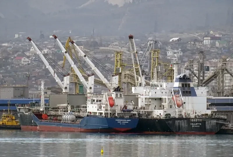 TOXOTIS Bulk Carrier IMO 9563419