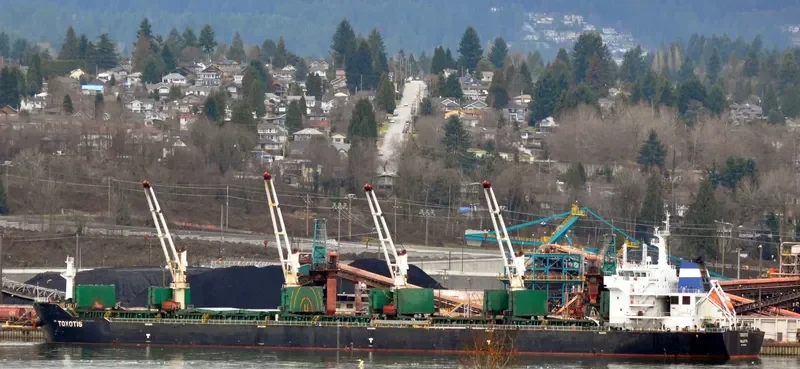 TOXOTIS Bulk Carrier IMO 9563419 photo 4