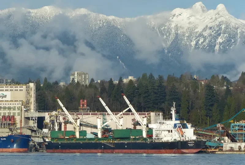 TOXOTIS Bulk Carrier IMO 9563419 photo 6