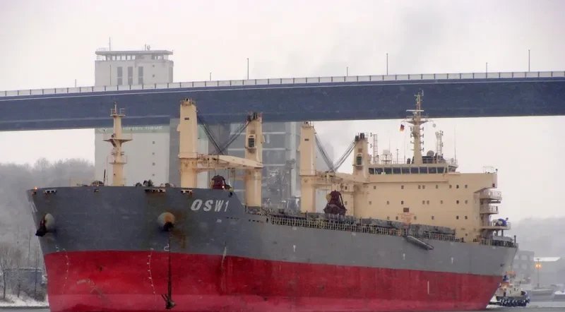 XIN TUO Bulk Carrier IMO 9563421 photo 6