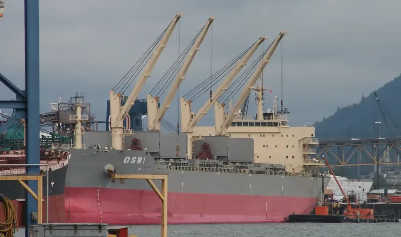 XIN TUO Bulk Carrier IMO 9563421 photo 7