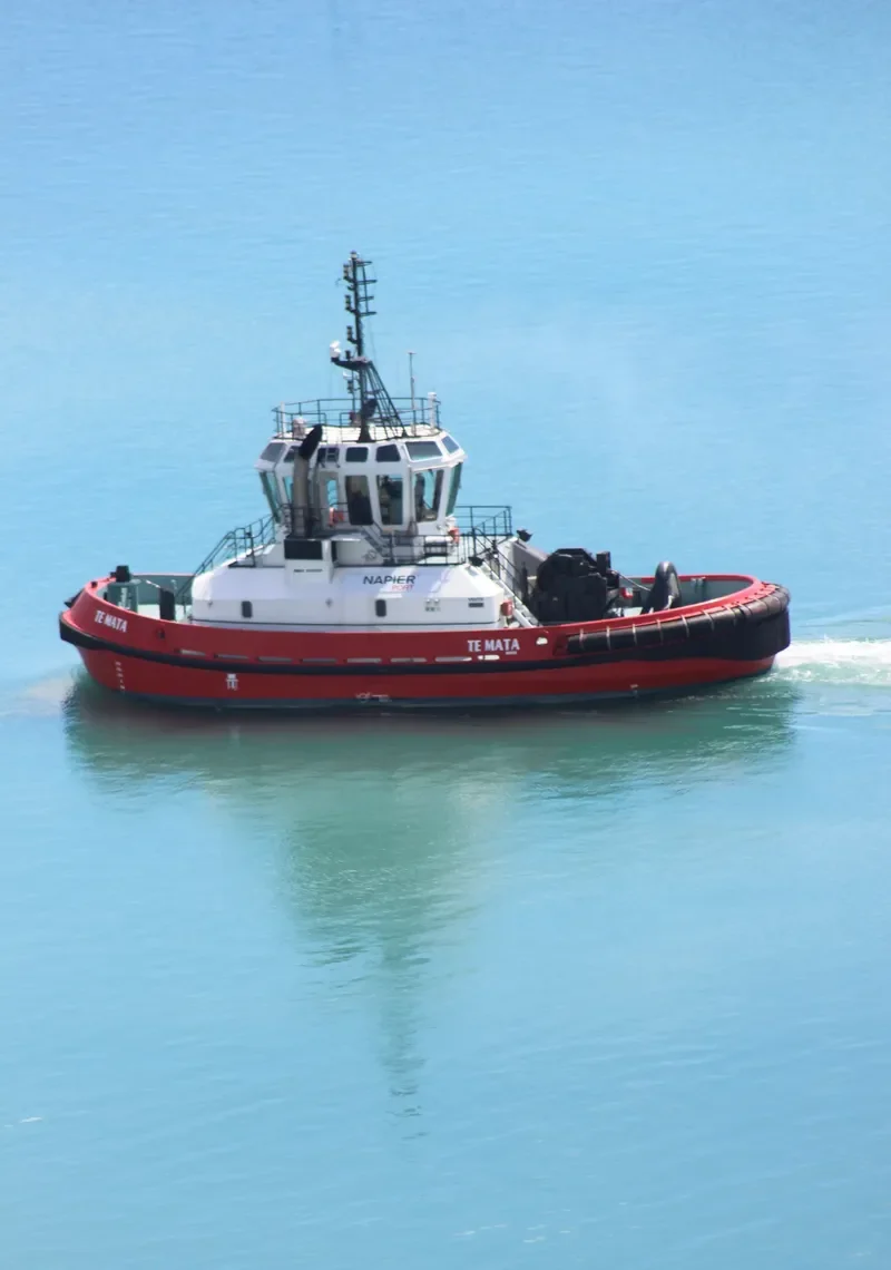 TEMATA General Cargo IMO 9563598