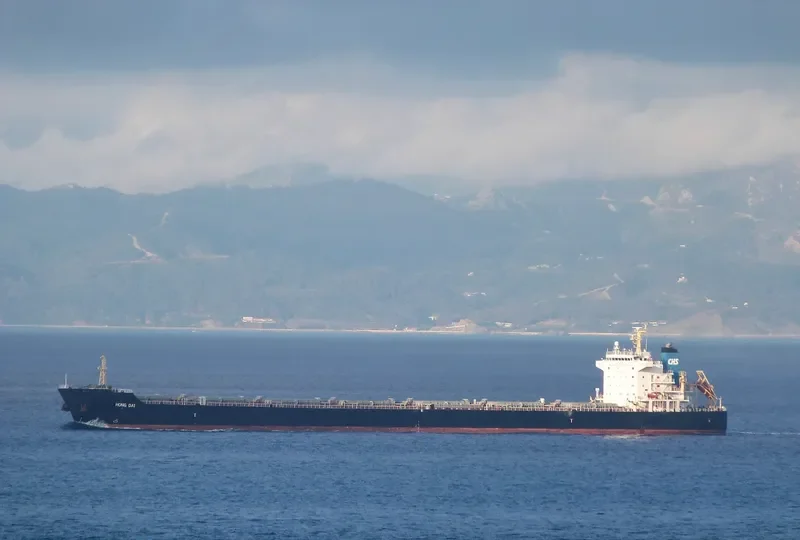 HONG DAI Bulk Carrier IMO 9563603