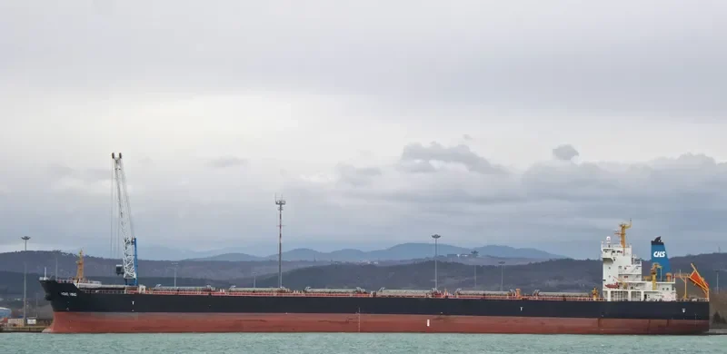 HONG HING Bulk Carrier IMO 9563615