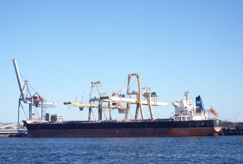 HONG HING Bulk Carrier IMO 9563615 photo 6
