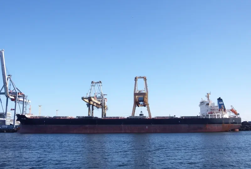 HONG HING Bulk Carrier IMO 9563615 photo 7