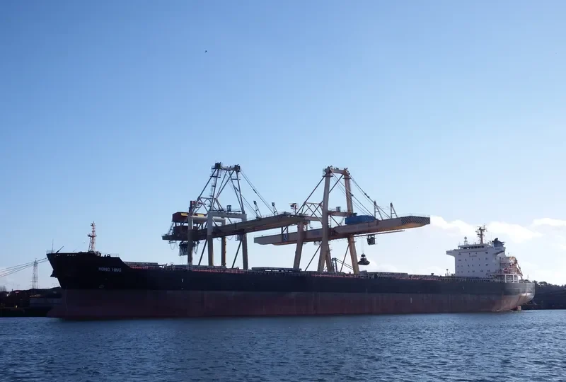 HONG HING Bulk Carrier IMO 9563615 photo 8