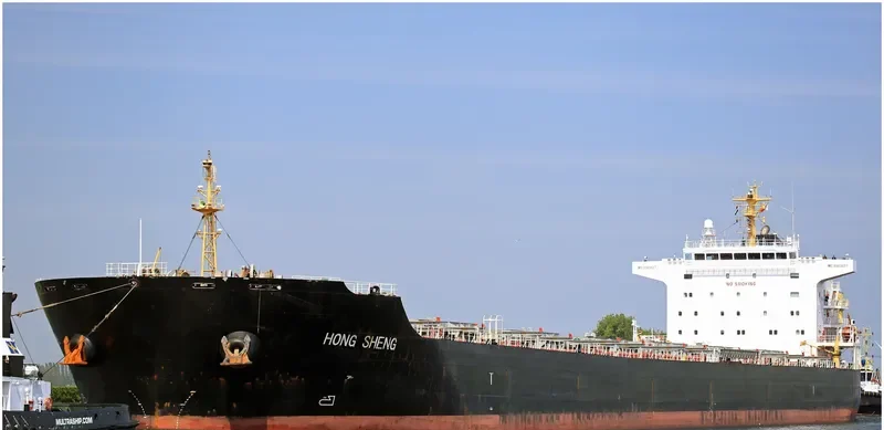 HONG SHENG Bulk Carrier IMO 9563627