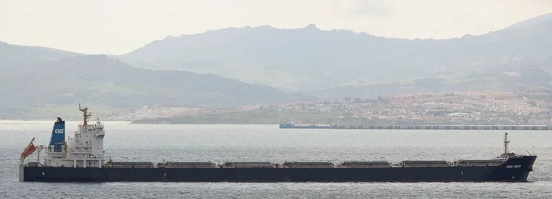 HONG SHENG Bulk Carrier IMO 9563627 photo 8