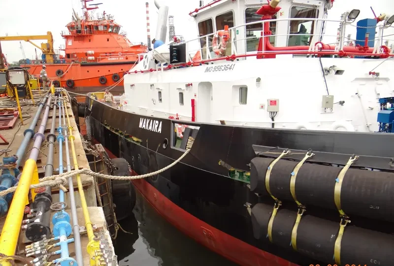 RESOLVE HERCULES General Cargo IMO 9563641 photo 3