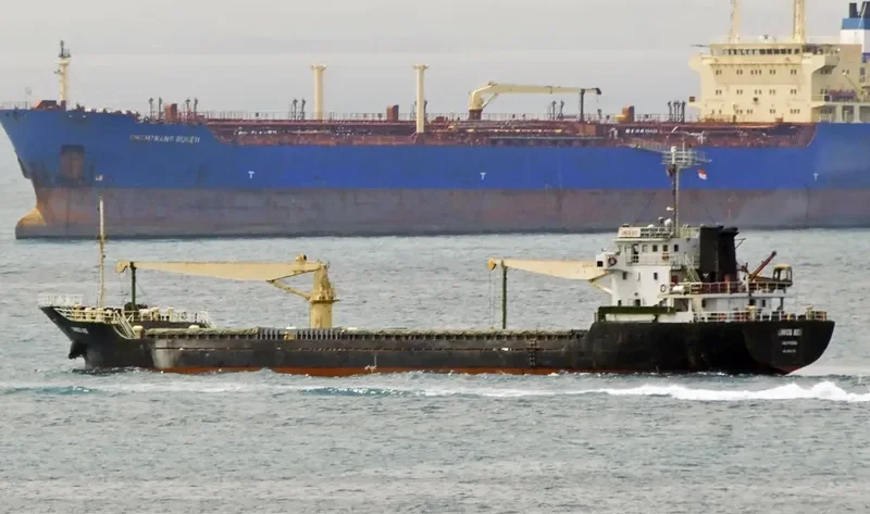 LIMCO ACE Bulk Carrier IMO 9563885 photo 3