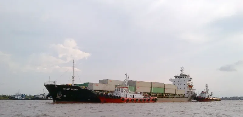 TELUK BERAU Container Ship IMO 9563976