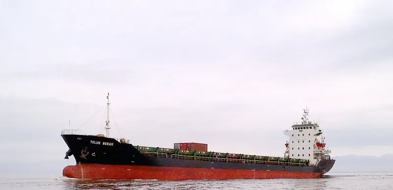 TELUK BERAU Container Ship IMO 9563976 photo 3