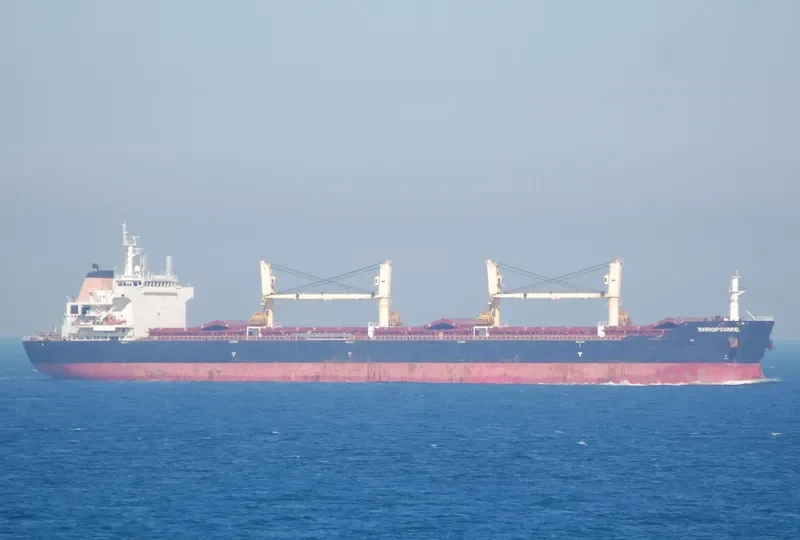 HONG YAN General Cargo IMO 9564073 photo 8