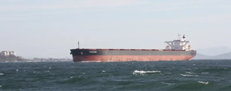 STAR MARTHA Bulk Carrier IMO 9564097 photo 3