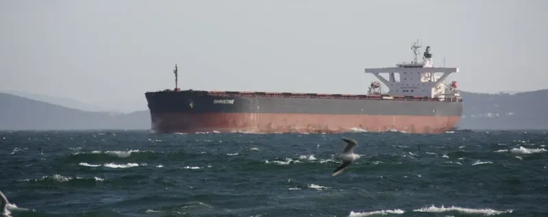 STAR MARTHA Bulk Carrier IMO 9564097 photo 4
