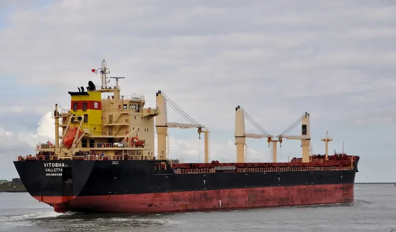 VITOSHA Bulk Carrier IMO 9564138 photo 2
