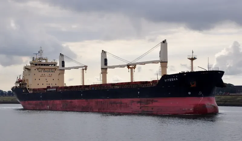 VITOSHA Bulk Carrier IMO 9564138 photo 3