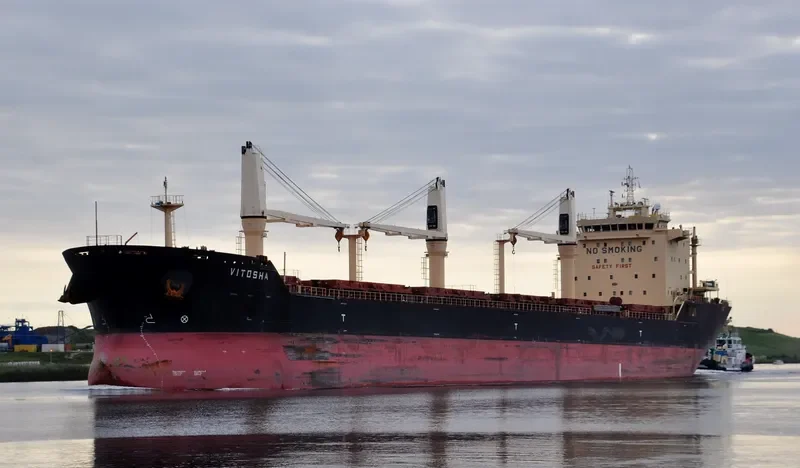 VITOSHA Bulk Carrier IMO 9564138 photo 5