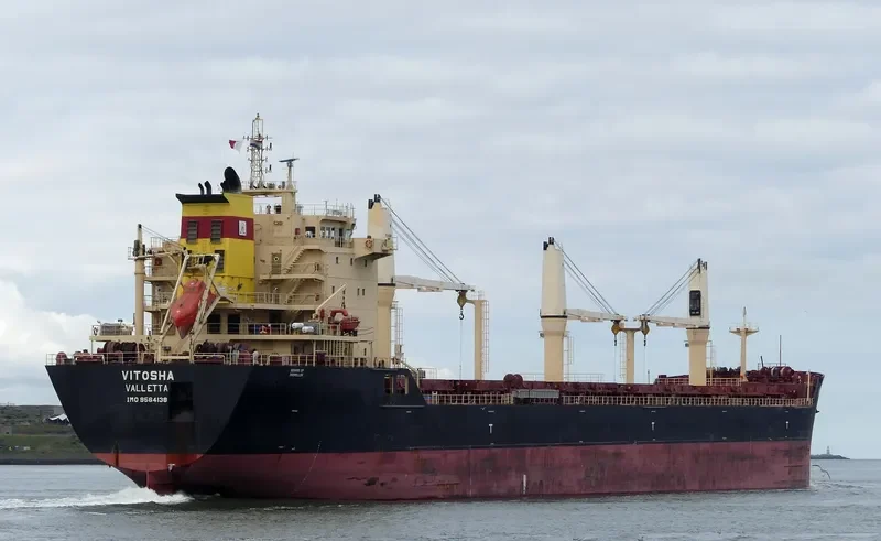 VITOSHA Bulk Carrier IMO 9564138 photo 7
