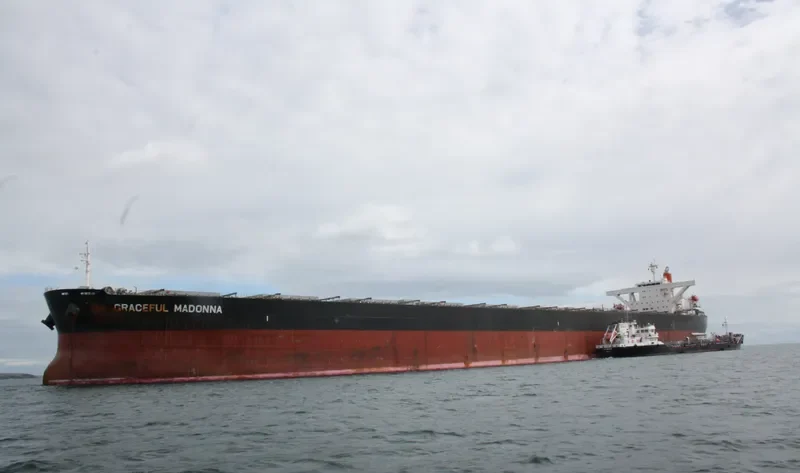 MOUNT SONG Bulk Carrier IMO 9564279 photo 3