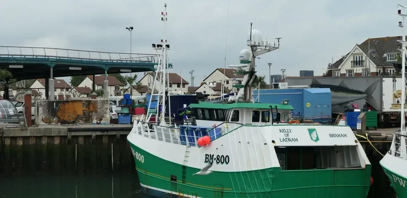 KELLY OF LADRAM General Cargo IMO 9564566 photo 3