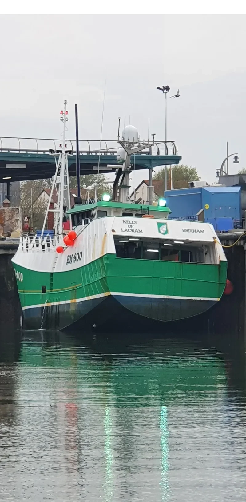 KELLY OF LADRAM General Cargo IMO 9564566 photo 5