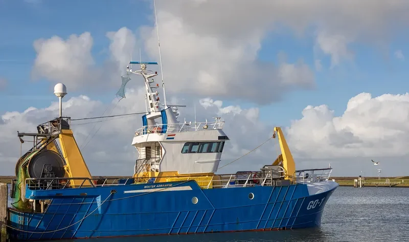 GO1 General Cargo IMO 9564877
