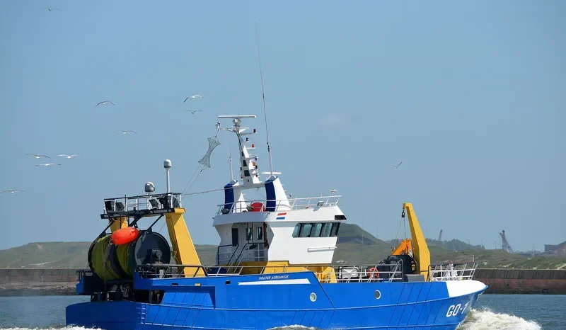 GO1 General Cargo IMO 9564877 photo 5
