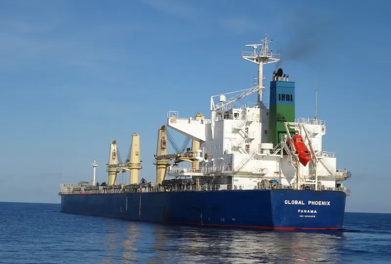 BOLD VOYAGER Bulk Carrier IMO 9565053 photo 3