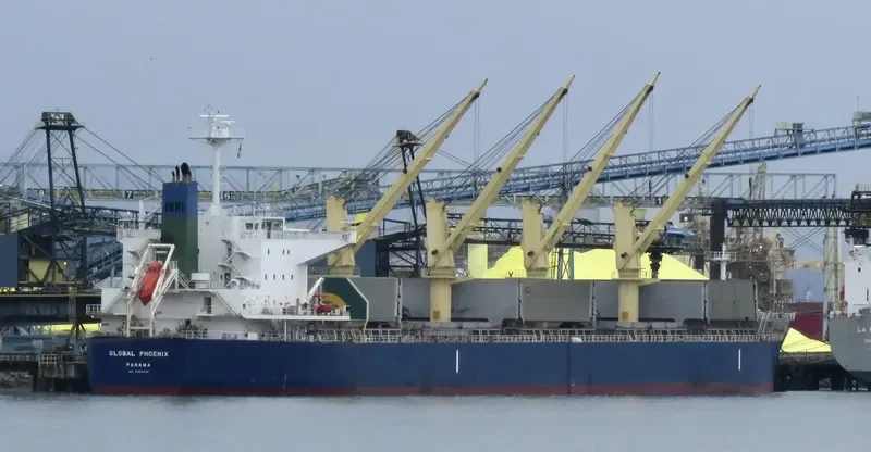 BOLD VOYAGER Bulk Carrier IMO 9565053 photo 6