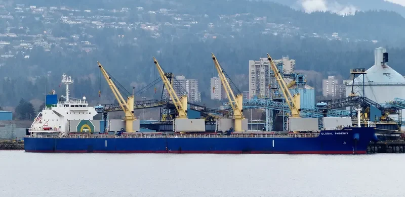 BOLD VOYAGER Bulk Carrier IMO 9565053 photo 7