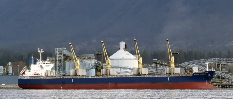 BOLD VOYAGER Bulk Carrier IMO 9565053 photo 8