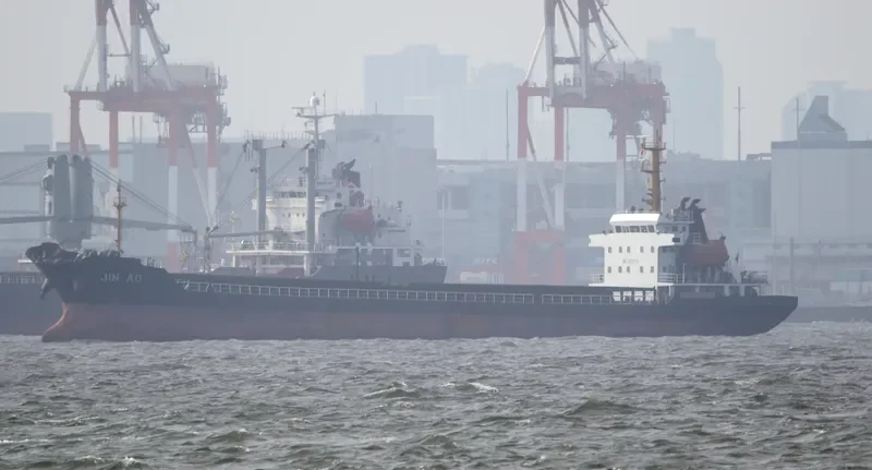 JIN AO Bulk Carrier IMO 9565132 photo 8