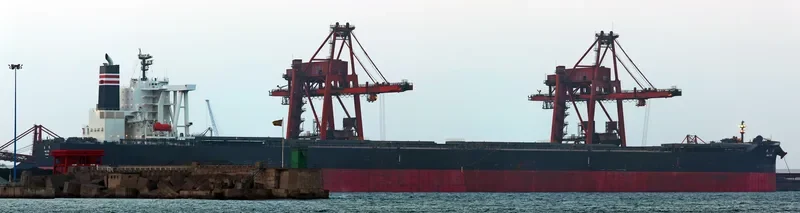 BAO MIN Bulk Carrier IMO 9565510 photo 2