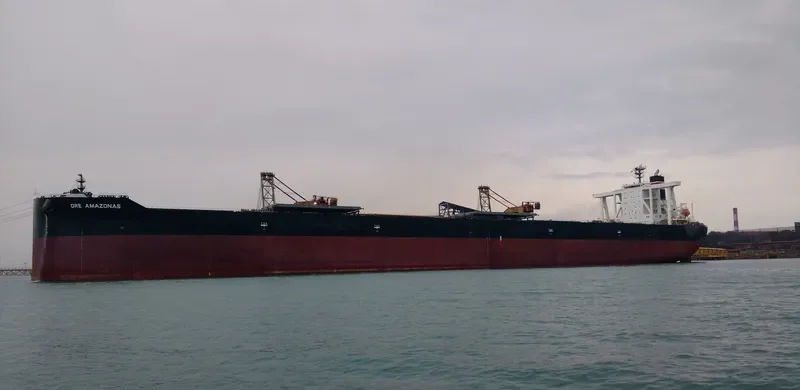 ORE AMAZONAS Bulk Carrier IMO 9565534
