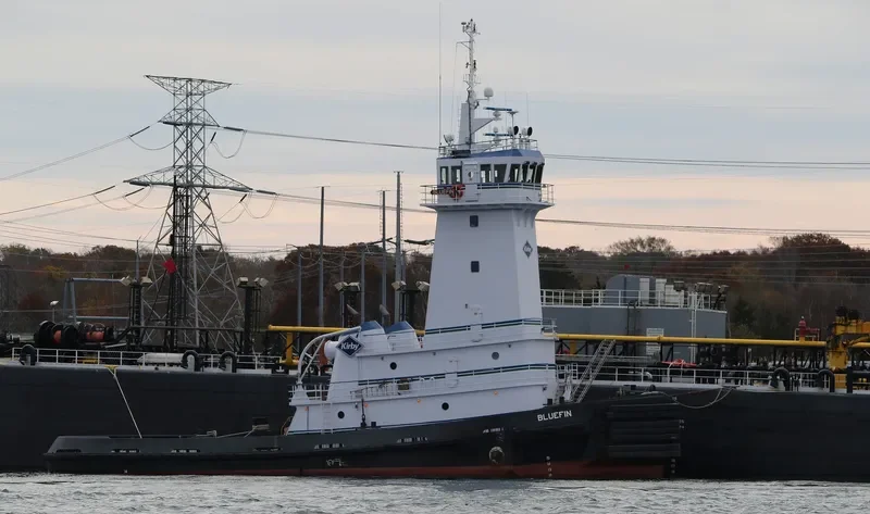 BLUEFIN General Cargo IMO 9565596