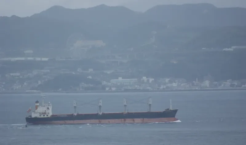 DESTINY Bulk Carrier IMO 9565716 photo 2