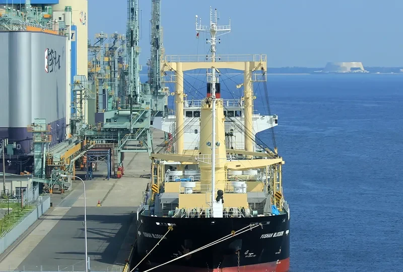 YUSHAN BLOSSOM General Cargo IMO 9565871 photo 2