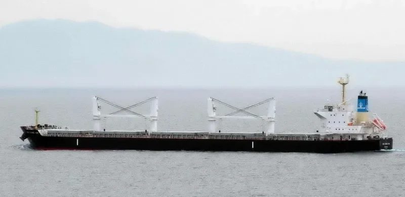 XIN XIANG HAI Bulk Carrier IMO 9566411 photo 2