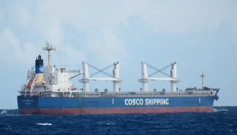 XIN XIANG HAI Bulk Carrier IMO 9566411 photo 6
