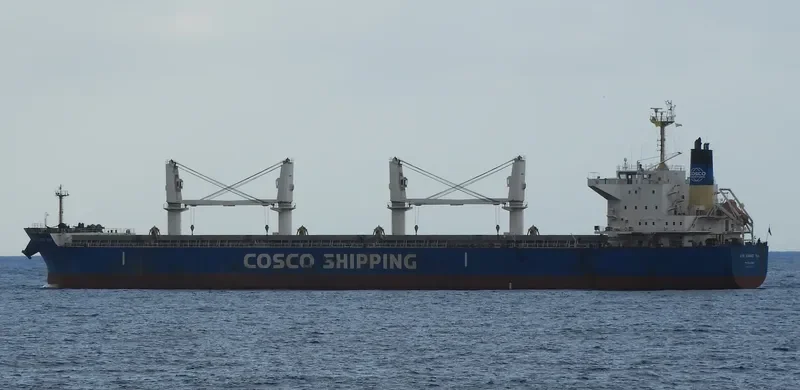 XIN XIANG HAI Bulk Carrier IMO 9566411 photo 8