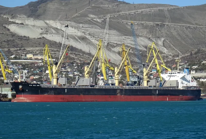 XIN RUI HAI Bulk Carrier IMO 9566423 photo 2