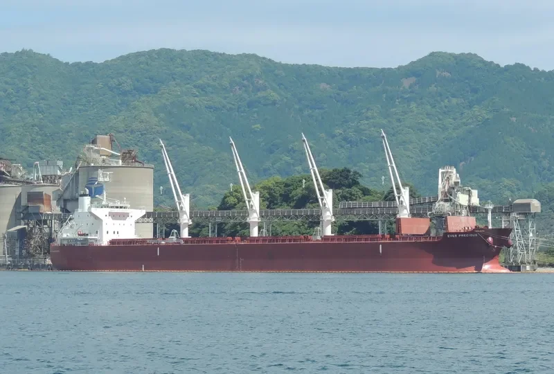 SIDRA Bulk Carrier IMO 9566435 photo 4