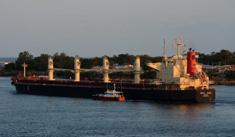 ROYAL CHIBA Bulk Carrier IMO 9566461 photo 4