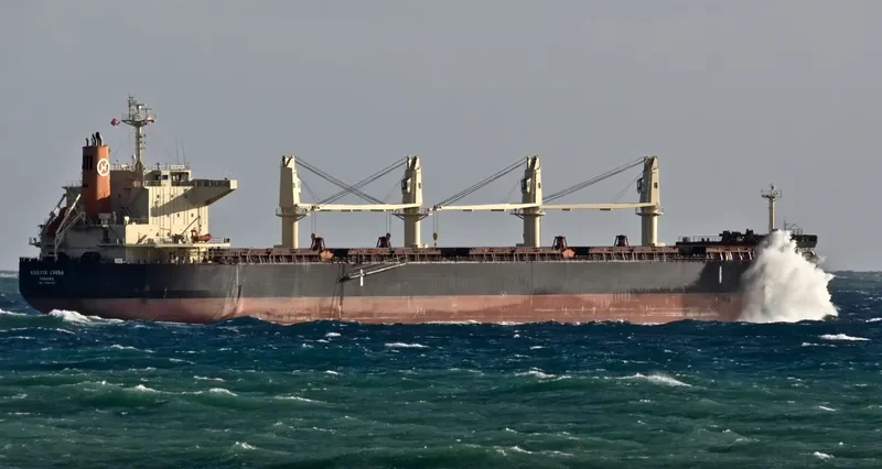 ROYAL CHIBA Bulk Carrier IMO 9566461 photo 6