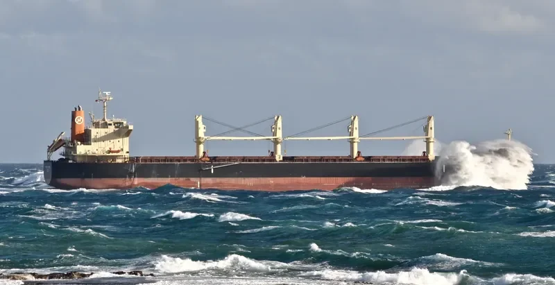 ROYAL CHIBA Bulk Carrier IMO 9566461 photo 7